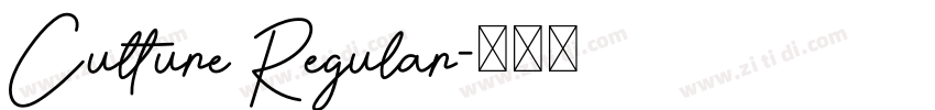 Culture Regular字体转换